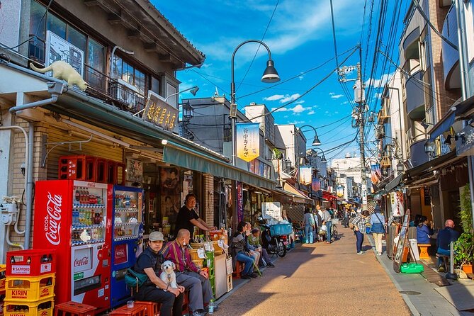 4 Hours Guided Tokyo Custom Tour - Inclusions