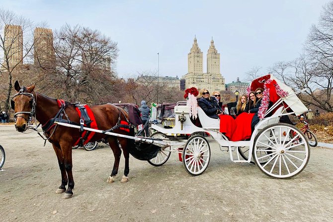 45 Minute VIP Central Park Carriage Ride - Recommendations for Different Groups
