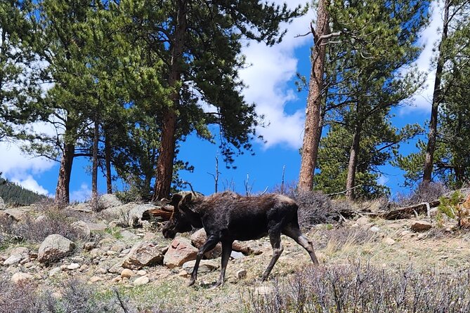 4WD Panoramic Peak Photo Tour in Estes Park - Meeting and End Points