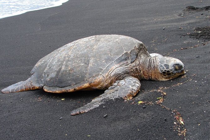 5 Hour Custom Private Tour of Hawaii - Unique Attractions to Explore