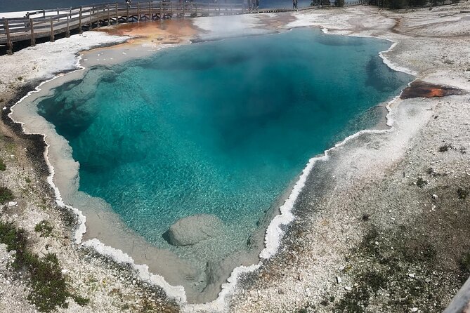 5 Person Full Day PRIVATE Yellowstone Tour- Picnic, Binoculars, Scope, Huge Van - Gourmet Picnic Lunch and Snacks