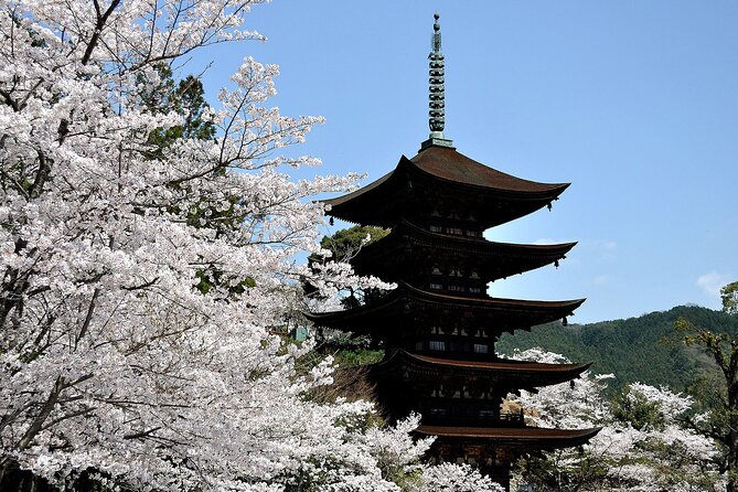 6 Day Private MINIBUS Tour to Kyoto via Fukui From Fukuoka - Entrance Fees