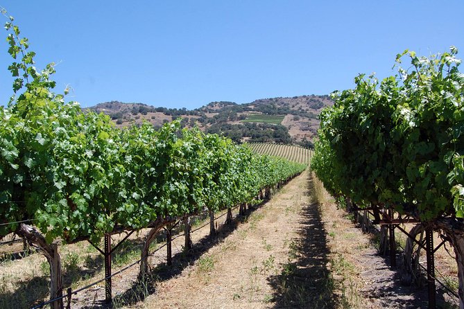 8 Hour Private Tour in Napa Valley Winery - Customizable Itineraries for Your Wine Adventure