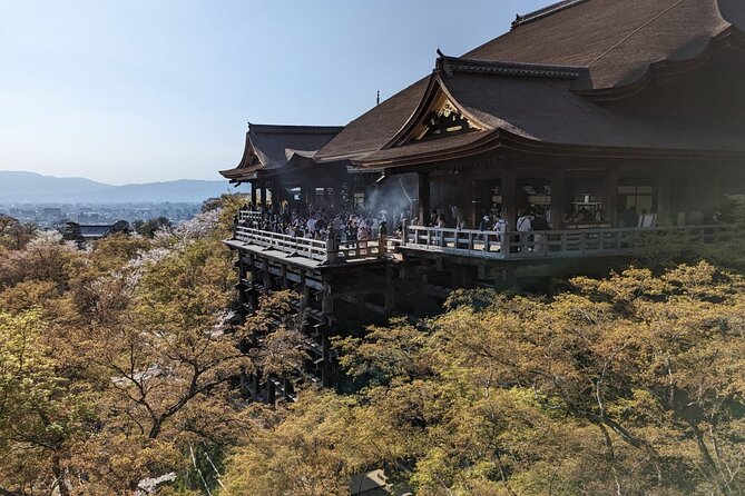 8 Hour Private Tour of Kyoto - Participant Information
