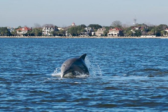 Afternoon Schooner Sightseeing Dolphin Cruise on Charleston Harbor - Sailing Experience