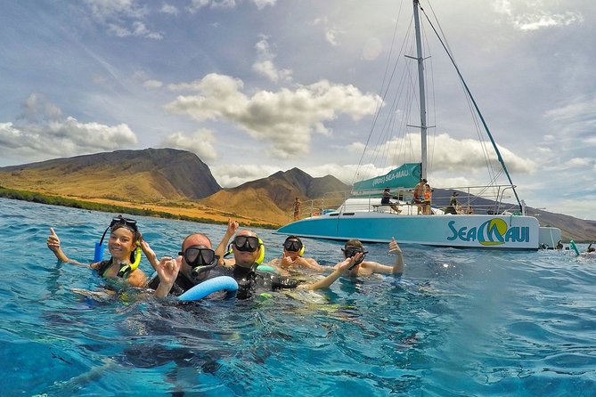 Afternoon West Maui Snorkel From Ka'Anapali Beach - Meeting and Pickup