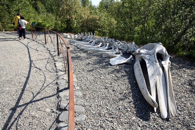Alaska Native Heritage Center Admission Ticket - Admission and Pricing