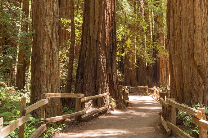 Alcatraz With Muir Woods and Sausalito Tour - Highlights of the Tour