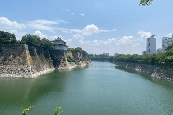 Allure of Osaka Walking Day Tour With a Local Guide - Meeting Point and Pickup