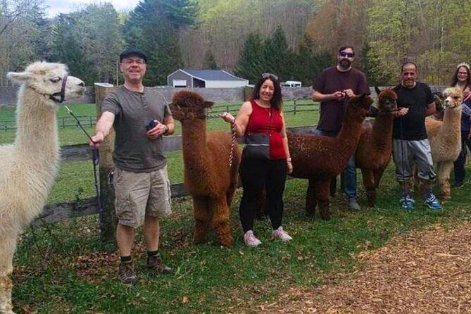 Alpaca and Llama Trek in Pleasant Valley - Whats Included in Your Adventure