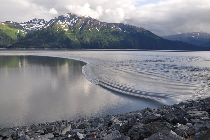 Anchorage to Seward Wildlife Adventure - Pricing and Booking Information
