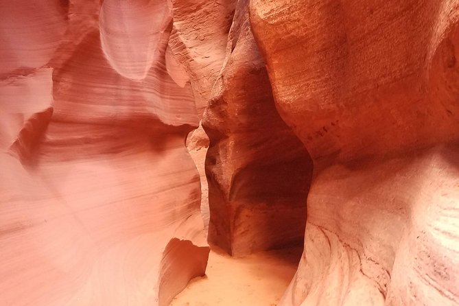 Antelope Canyon, Horseshoe Bend and Lake Powell Tour From Las Vegas - Itinerary and Schedule