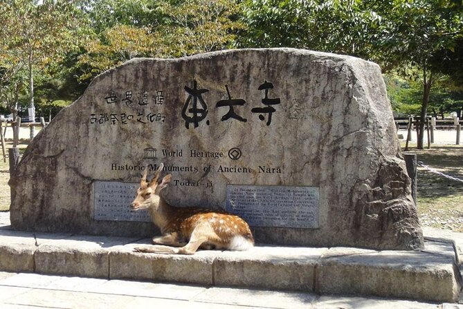 Arashiyama, Yasaka Shrine, Hanamikoji Todaiji Day Tour From Osaka - Meeting and Transportation Details