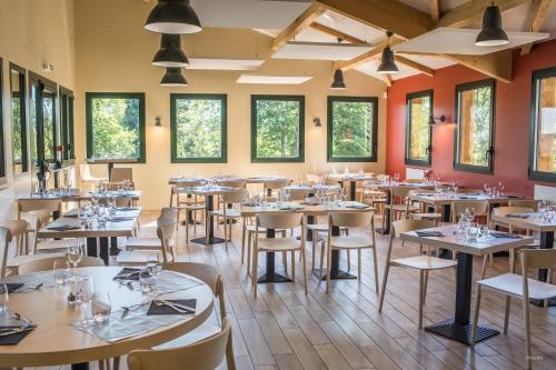 Archipelago Volcanoes - Ideal Location for Nature Lovers