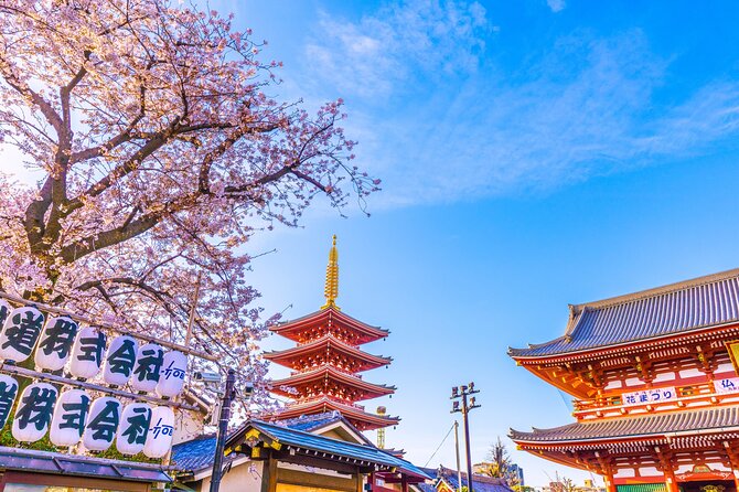 Asakusa and Sensoji Temple Historical Walking Tour in Tokyo - Meeting Details