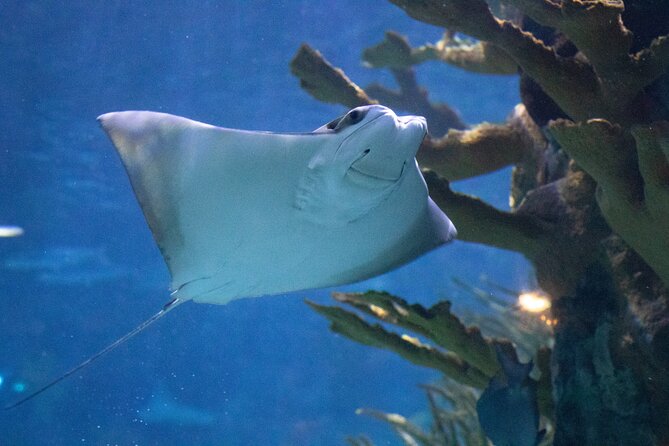 Audubon Aquarium & Insectarium Ticket - Highlights of the Visitor Experience