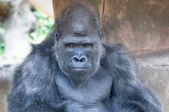 Audubon Zoo Ticket - Accessibility Features
