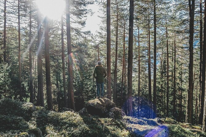 Bainbridge Island Serenity Forest Hike & Cultural Landmarks Tour - Meeting and End Points