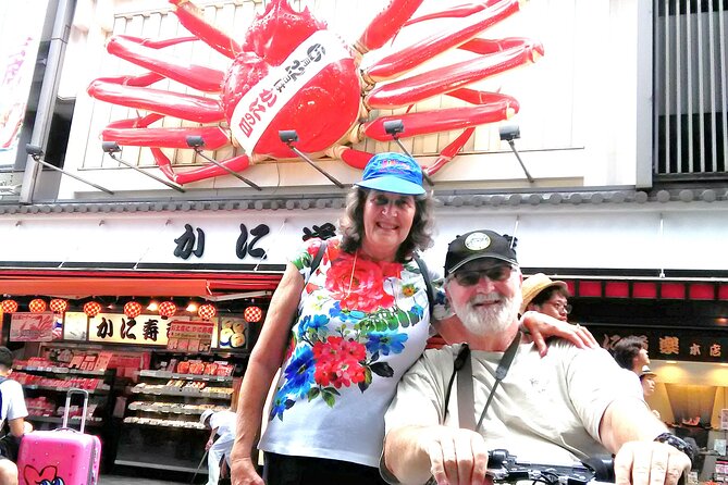 Barrier Free Osaka Private Full Day Tour for Wheelchair Users - Navigating Public Transportation With Ease