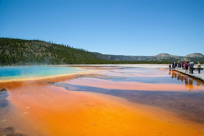 Best of Yellowstone Private National Park Safari Tour - Inclusions