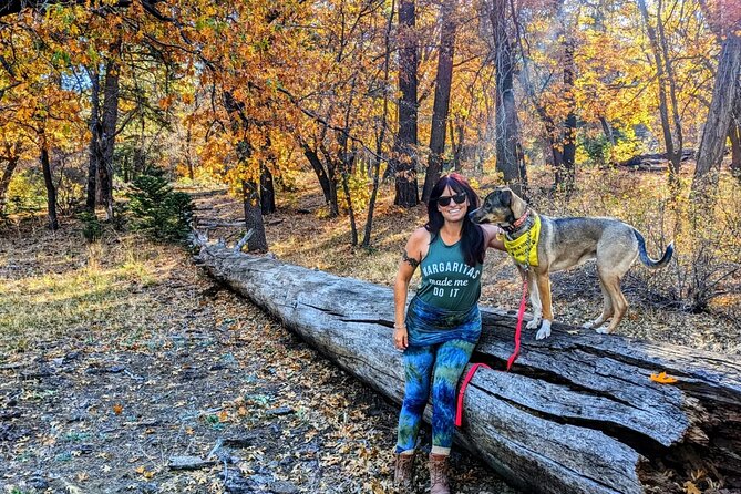 Big Bear Fall Colors Hiking Tour in Southern California - Meeting and Pickup Details