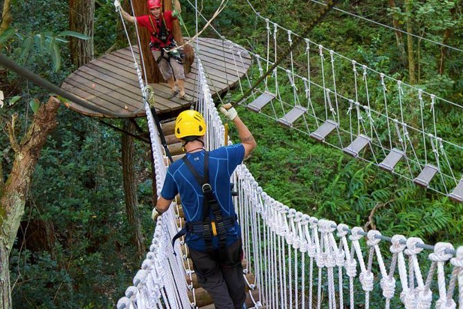 Big Island Kohala Zip and Dip Tour From Kona - Meeting and Pickup Information