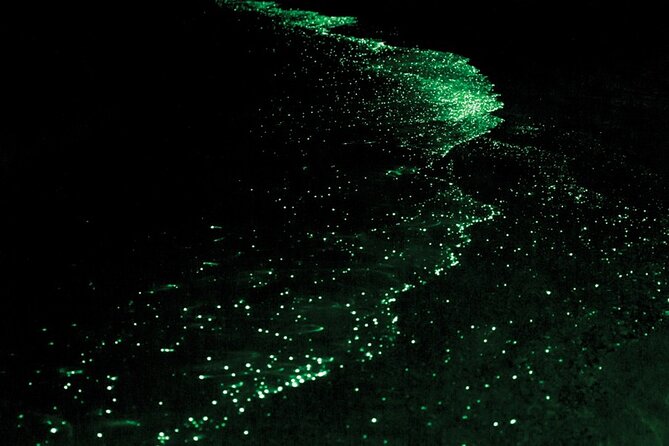 Bioluminescence and Sunset Kayak Tour in the San Juan Islands - Meeting and Pickup Details