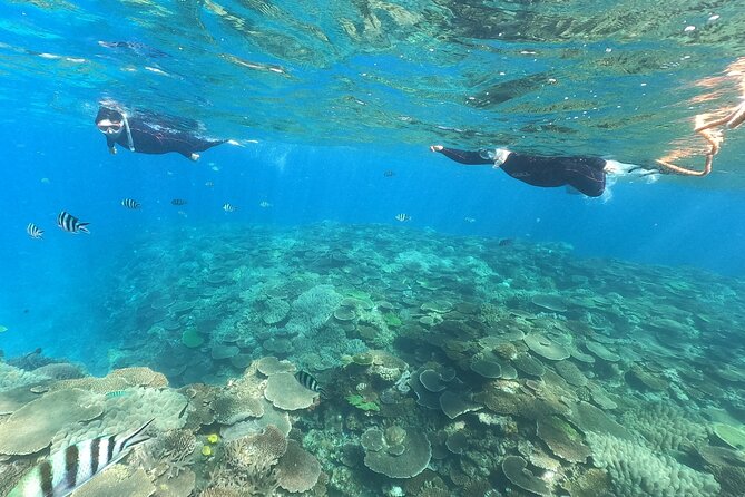 Boat Snorkeling Trip 2 Rounds at Nakijin, Motobu , Okinawa - Meeting Point and Pickup Details