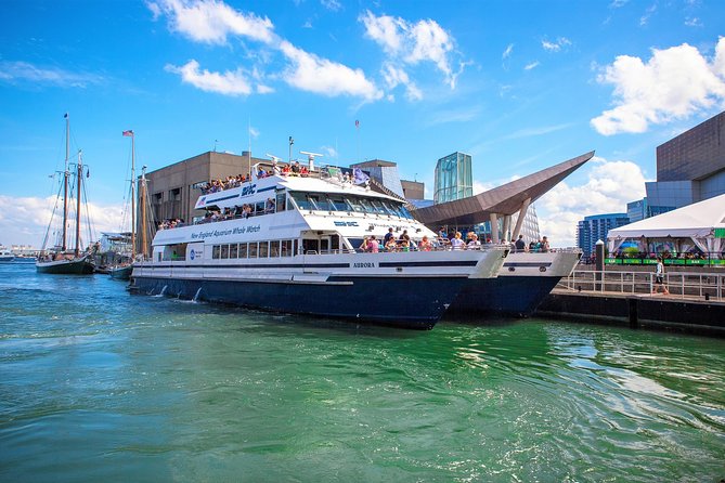 Boston Whale Watching Cruise by High-Speed Catamaran - Departure Point and Vessel