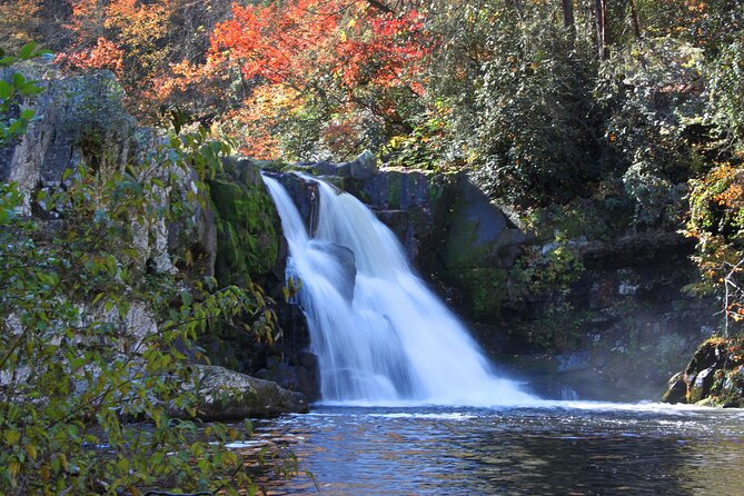 Cades Cove Sightseeing Self-Guided Driving Audio Tour - Discovering the Pioneer Cabins