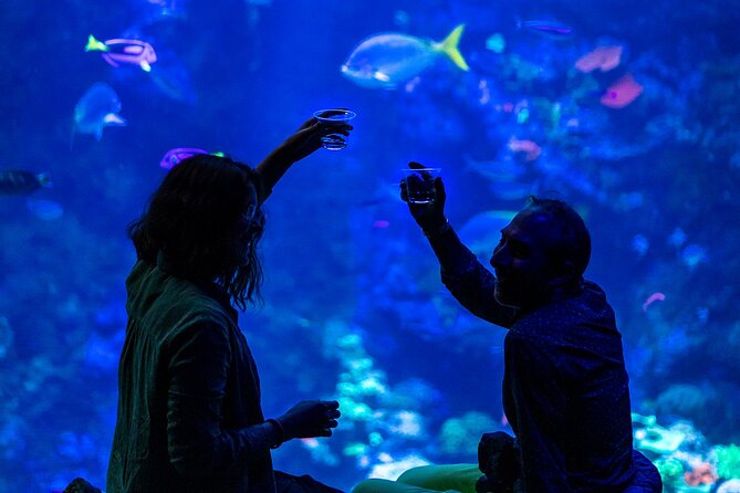 California Academy of Sciences NightLife Plus Admission Ticket - Accessibility and Requirements