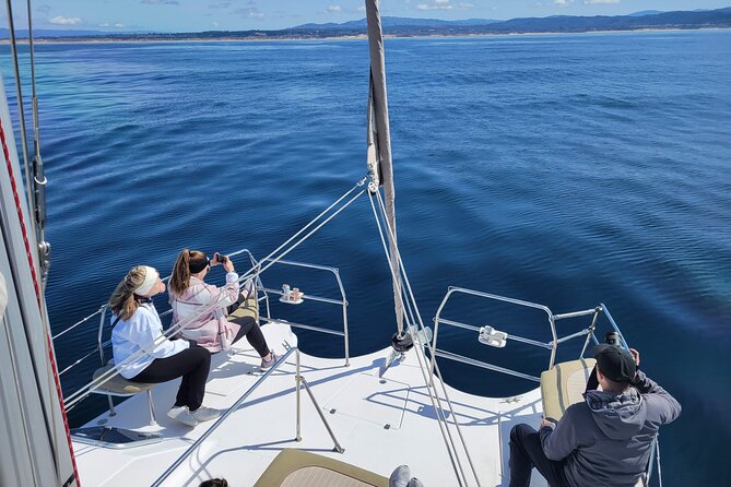 Catamaran Sailing Cruise in Monterey - Pricing and Booking Information