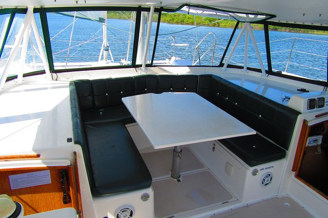Catamaran Sailing Dolphin/Manatee Watch in Daytona Beach - Wildlife Sightings