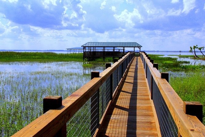 Central Florida Everglades Airboat Tour From Orlando - Wildlife and Activities