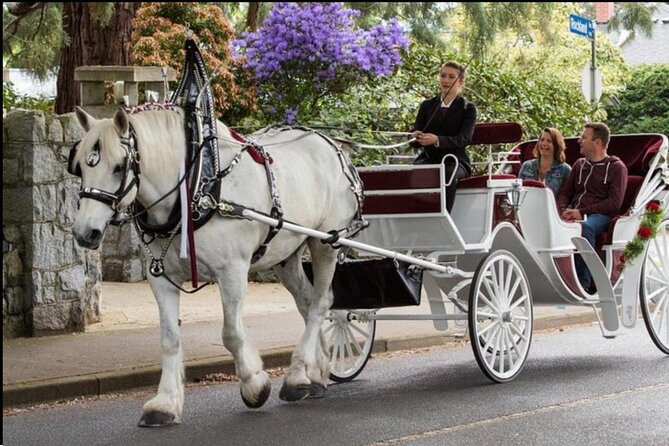 Central Park and NYC Private Horse Carriage Ride - Tour Details