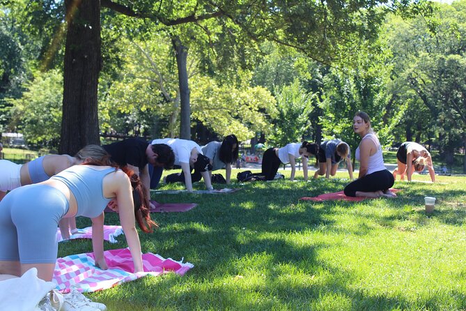 Central Park Yoga Class With a View in the Heart of New York City - Class Details and Amenities
