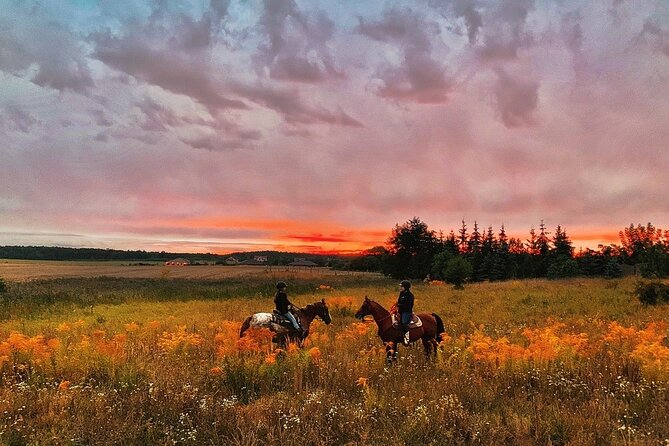 Champagne and Charcuterie Sunset Trail Ride - Sip on Exquisite Champagne