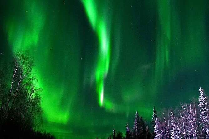Chena Hot Springs Aurora Tour - Experience Highlights of the Tour