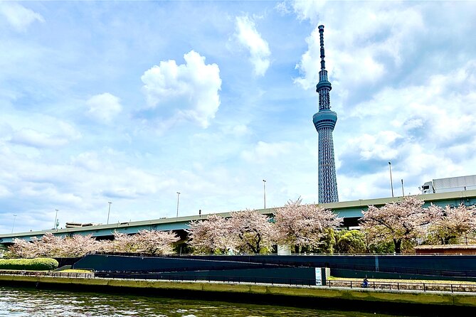 Cherry Blossom Cruise on Tokyo Bay Dinner and Japan Show - Dining Options