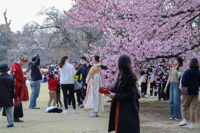 Cherry Blossom Mount Fuji Customizable Luxury Vehicle Guided Tour - Pickup Information