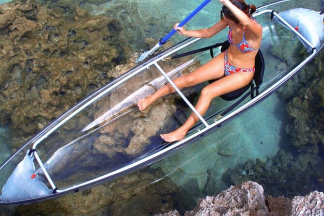 Clear Kayak Private Guided Day and Night Tours in Florida - Inclusions and Requirements for Participants