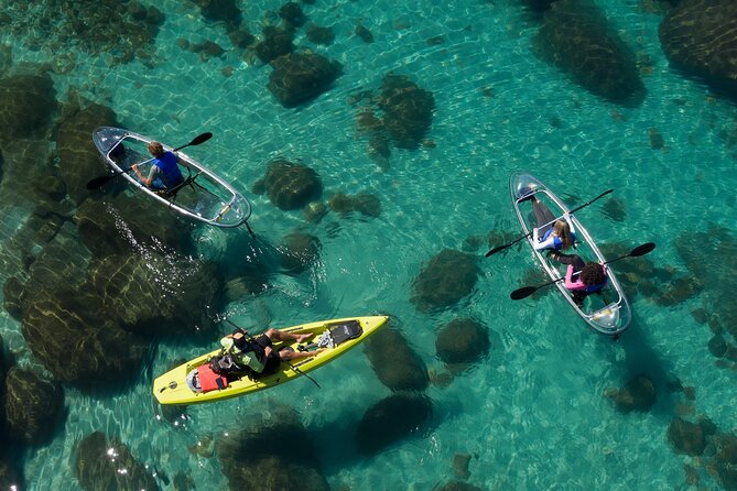 Clear Kayak Tour of Lake Tahoe - Health and Safety Information
