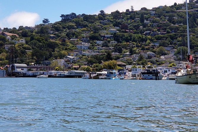 Combo Small-Group Tour: SF City Plus Muir Woods & Sausalito - Exploring San Francisco