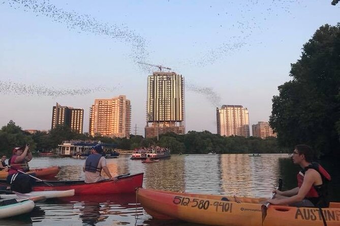 Congress Avenue Bat Bridge Kayak Tour in Austin - Tour Details