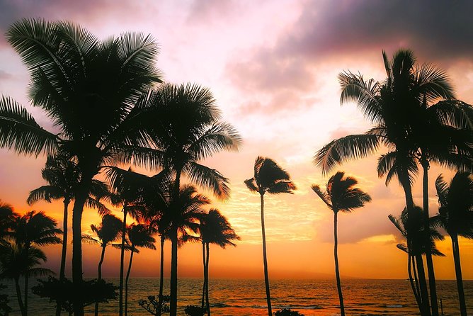 Creative Soul Scavenger Hunt( Kona Big Island Hawaii) - Game Features and Requirements
