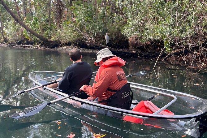 Crystal River Sunset and Glow Clear Kayak Manatee Tour - The Unique Features of Clear Kayaks
