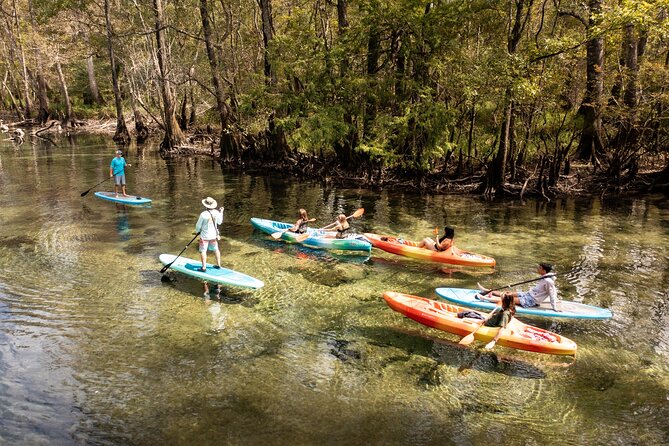 Cypress Springs Eco Adventure - Paddling Through the Pristine Waterways