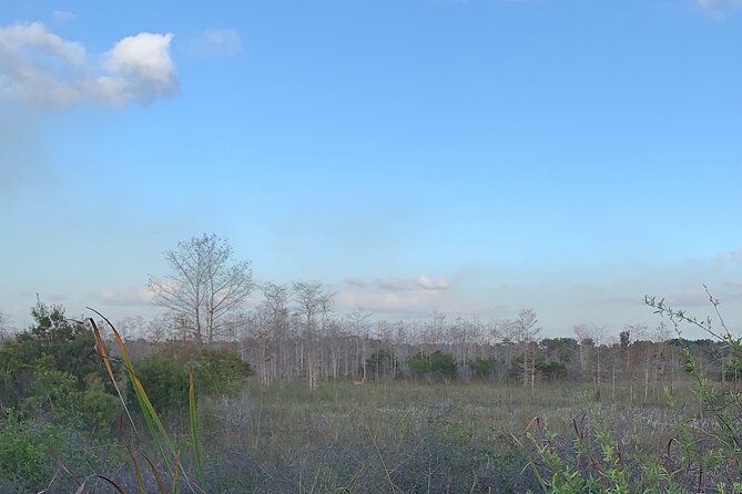 Dark Skys in the Florida Everglades - Exploring the Everglades: What to Expect