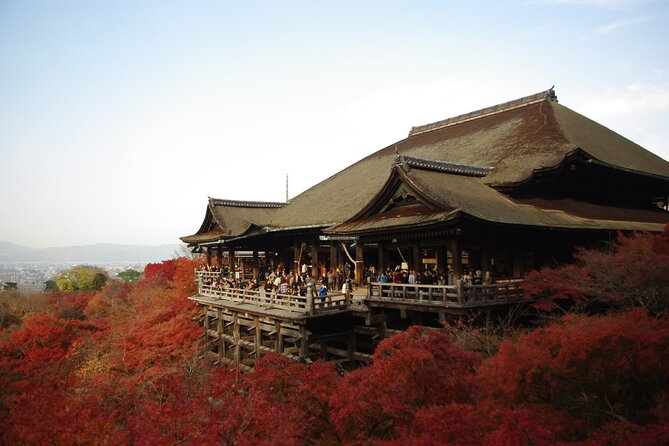 Day Tour From Osaka to Kyoto Lets Enjoy Kyotos Food and Scenery - Meeting and Pickup Information