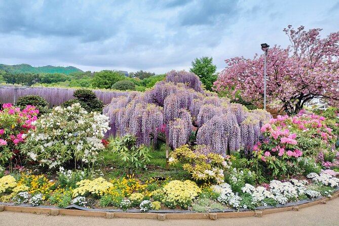 Day Trip Ashikaga Flower Park by Private Car From Tokyo - Pickup Information